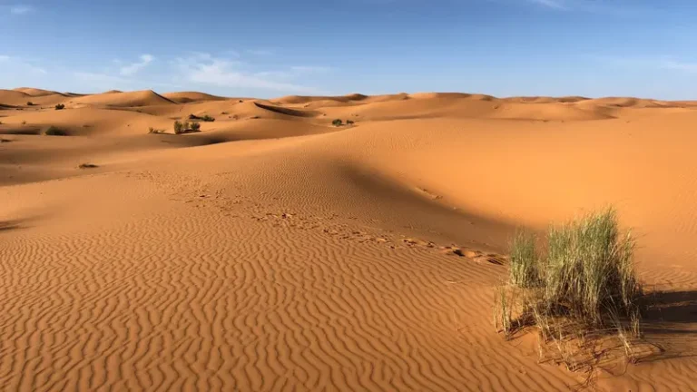 negara-mauritania-negara-beriklim-gurun-di-afrika-barat