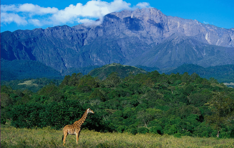 tanzania-negara-beragam-budaya-dan-keindahan-alam