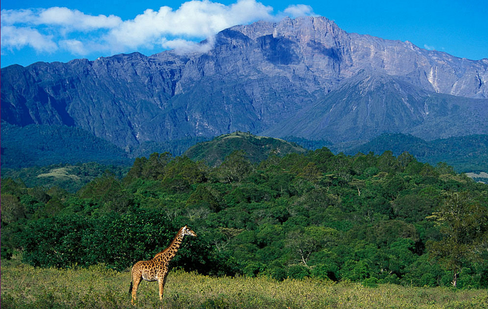 tanzania-negara-beragam-budaya-dan-keindahan-alam