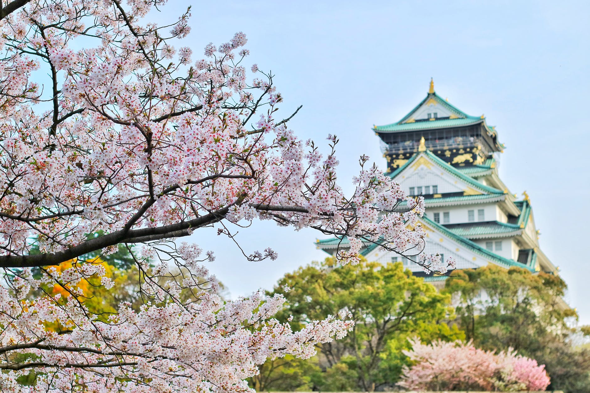 negara-jepang-sejarah-budaya-dan-keunggulan-modern
