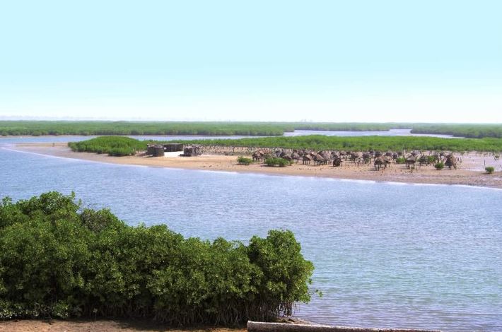 gambia-negara-kecil-dengan-keanekaragaman-budaya-dan-alam