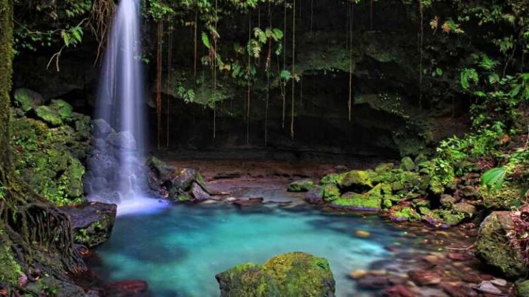 negara-dominika-keindahan-alam-dan-budaya-karibia