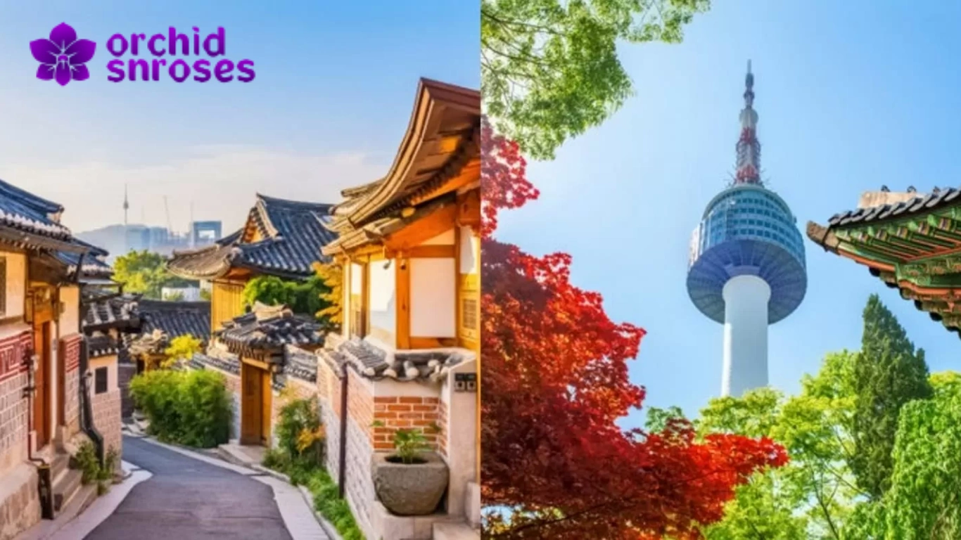 korea-selatan-negara-berkembang-dengan-budaya-dan-teknologi-modern