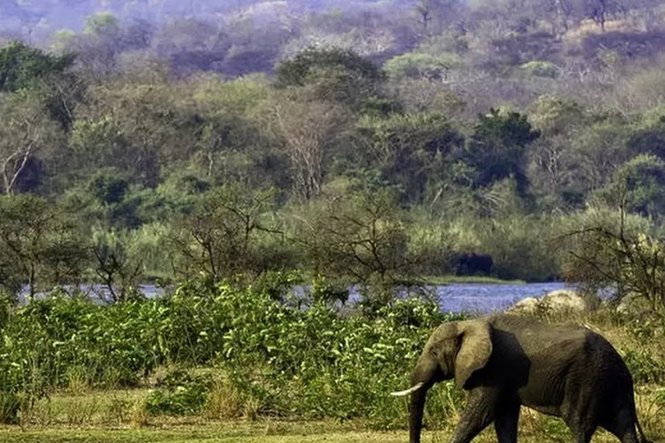 negara-malawi-gambaran-tentang-sejarah-budaya-dan-geografi