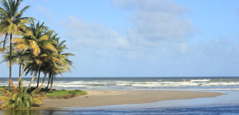 negara-trinidad-dan-tobago-keindahan-dan-keberagaman-budaya