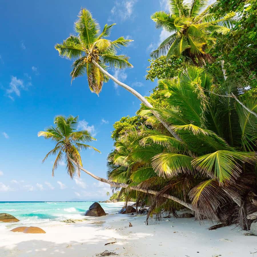 seychelles-keindahan-alam-dan-budaya-di-kepulauan-indah